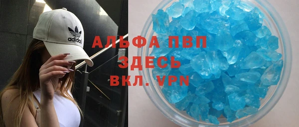 стаф Белокуриха
