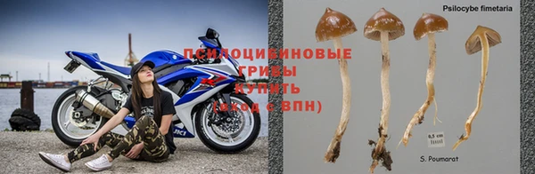первитин Беломорск