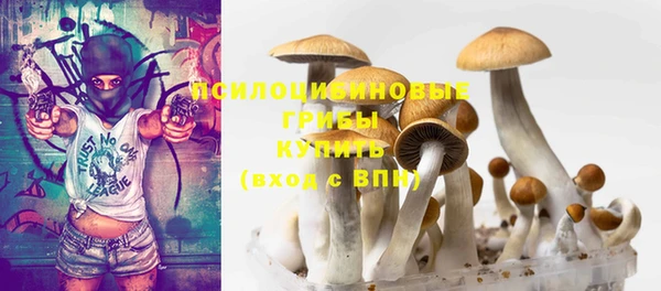 стаф Белокуриха