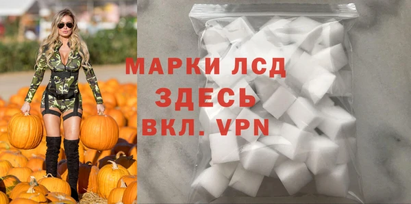 стаф Белокуриха