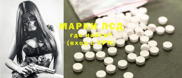 стаф Белокуриха