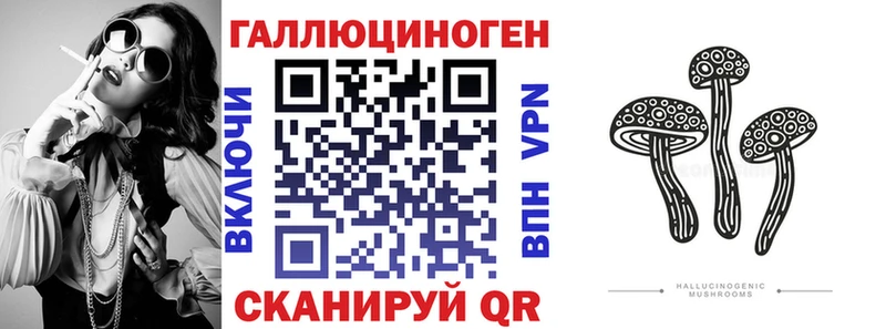 продажа наркотиков  Плёс  OMG зеркало  Псилоцибиновые грибы Psilocybine cubensis 